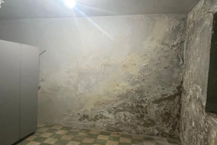 Riscos físicos e biológicos: vistoria recomenda interdição no Museu de História Natural da Ufal; Universidade afirma que “não tem orçamento” para reforma
