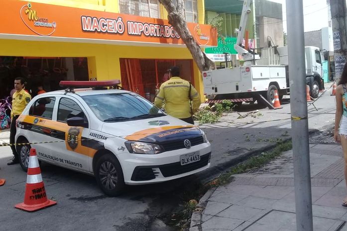 Rua foi interditada para retirada da árvore