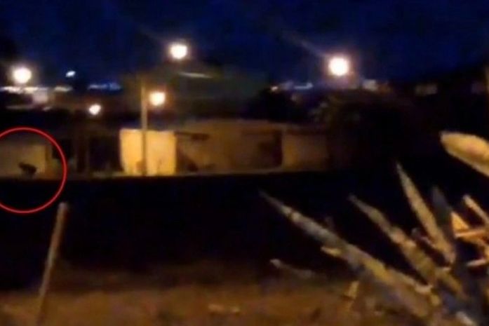 Vídeo:'Lobisomem'? Filmagem intriga internautas e moradores no DF