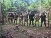 PF e PM/AL destroem 2,8 mil pés de maconha e cumprem mandados para identificar fornecedores e distribuidores das drogas, em AL e PE