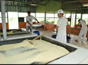 MPT fiscaliza trabalho infantil nas casas de farinha do Agreste