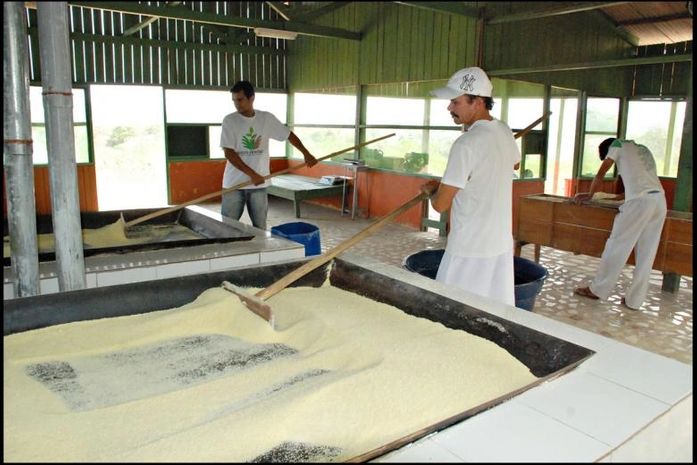 MPT fiscaliza trabalho infantil nas casas de farinha do Agreste