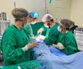 Hospital Universitário realiza novo mutirão para atendimentos