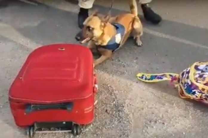 Mala foi encontrada pela PRF