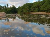 Perda das piscinas naturais e morte de animais: moradores da Garça Torta cobram paralisação de obra de aterramento do mangue