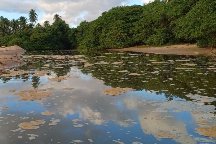 Perda das piscinas naturais e morte de animais: moradores da Garça Torta cobram paralisação de obra de aterramento do mangue