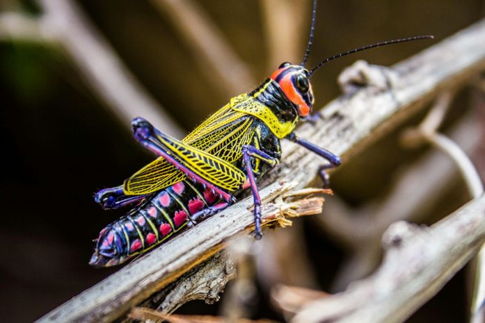 IMA divulga lista dos semifinalistas do VII Concurso de Fotografia Ambiental