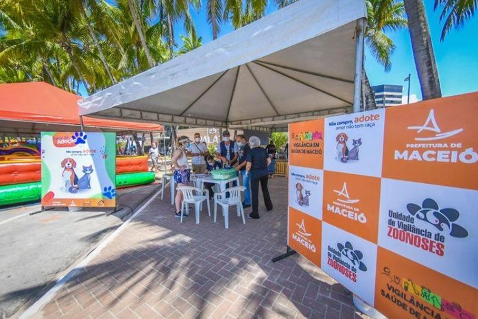 Feira de adoção busca tutores para cães e gatos de ONGs