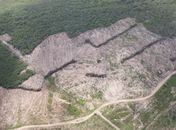FPI embarga 1.025 hectares de terra em Alagoas por desmatamento de vegetação nativa