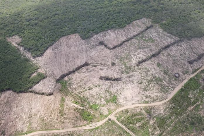 FPI embarga 1.025 hectares de terra em Alagoas por desmatamento de vegetação nativa