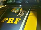 PRF recupera veículo roubado e prende suspeito armado, em Pilar