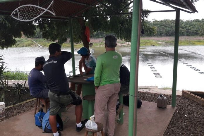 Fiscalização devolve ao Rio São Francisco mais de 12 espécimes de camarão