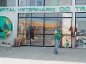 Hospital veterinário de Maceió 