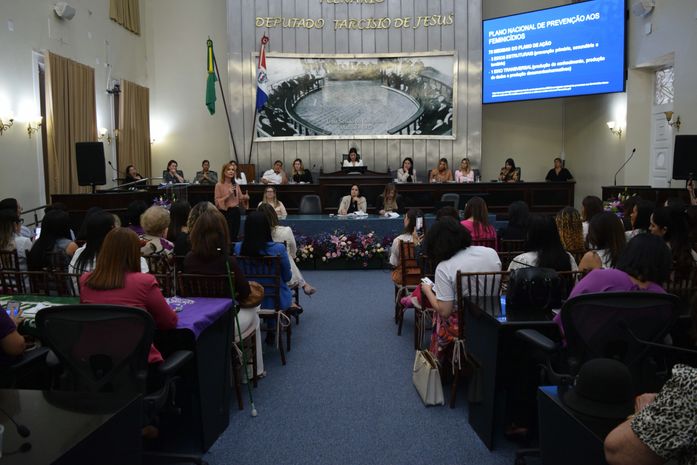 Sessão especial discute fortalecimento do combate à violência contra a mulher