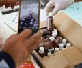 Inspeção encontra irregularidades em alimentos e medicamentos de comunidade terapêutica no Sertão