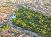 Arapiraca bate mais um recorde com plantio de 50 mil árvores urbanas