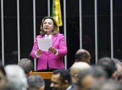 Deputada Tereza Nelma