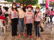 Teca Nelma faz balanço do Outubro Rosa em audiência pública na Câmara Municipal