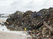 Limpeza na praia da Avenida retira 700 toneladas de lixo da foz do Salgadinho