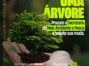Campanha “Adote uma Árvore” é implantada no município de Piranhas