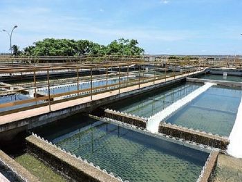 Rs=w:350,h:263,i:true,cg:true,ft:cover?cache=true