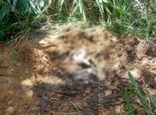 Familiares de jovem desaparecido desde maio acreditam que material humano seja do rapaz.