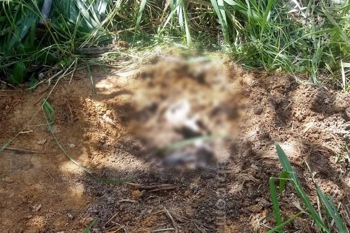 Familiares de jovem desaparecido desde maio acreditam que material humano seja do rapaz.