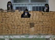 PM apreendeu 200kg de maconha