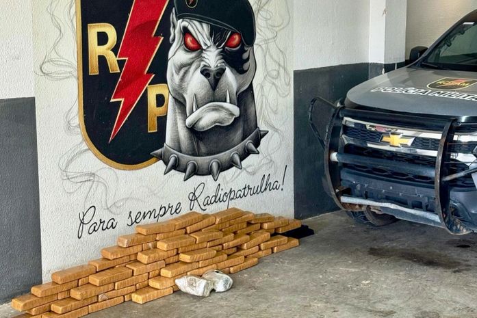 Quase 80 kg de maconha são apreendidos em operação; drogas estavam enterradas