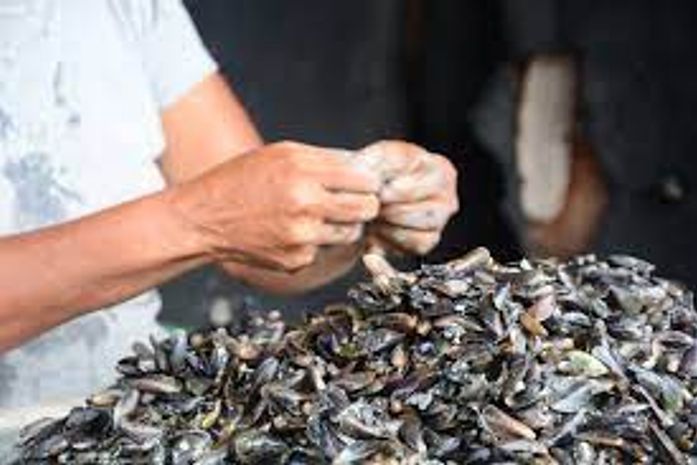 Marisqueiras