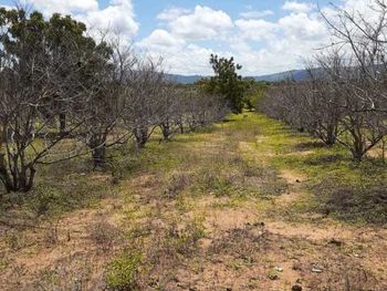 Rs=w:350,h:263,i:true,cg:true,ft:cover?cache=true