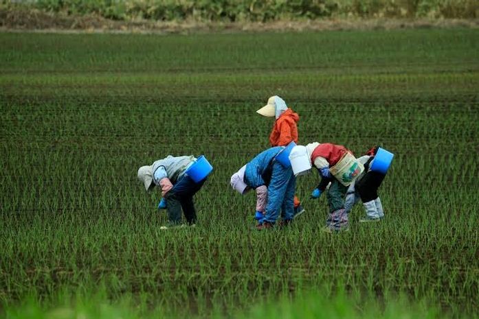 ‘Meu coração estava com medo’: trabalhador rural relata crises e dificuldade de acesso ao cuidado em AL