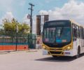 Ônibus