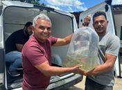 Branquinha fortalece piscicultura com entrega de mais 20 mil alevinos a produtores rurais