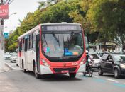 Rotas das linhas 110 e 117 serão alteradas a partir deste sábado(16)