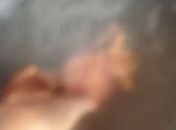 Crueldade contra gato leva à prisão de homem após repercussão nas redes sociais
