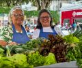 Circuito de Regional de Feiras movimenta o Agreste com sabores, cores e histórias do campo