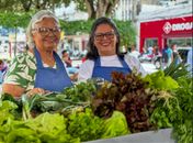 Circuito de Regional de Feiras movimenta o Agreste com sabores, cores e histórias do campo