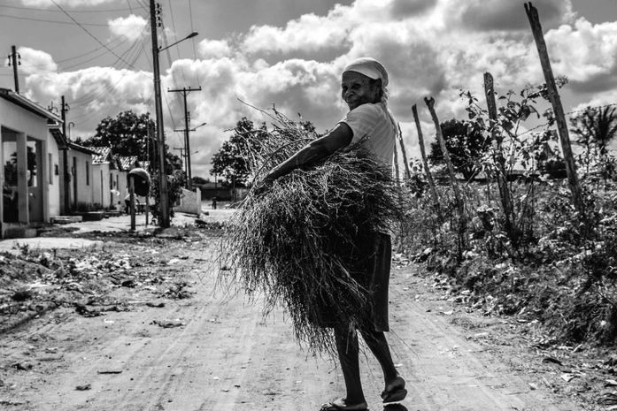 Site transforma cotidiano alagoano em acervo fotográfico e acessível
