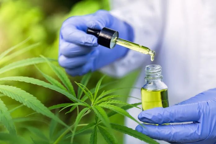 Empresas de Cannabis medicinal têm até 1º de agosto para adequar produtos às novas regras da Anvisa