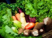 Governo envia pacote de justiça fiscal à ALE; proposta zera imposto de alimentos da cesta básica e protege receitas do Estado