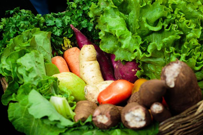 Governo envia pacote de justiça fiscal à ALE; proposta zera imposto de alimentos da cesta básica e protege receitas do Estado