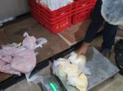 Carne bovina, frango e derivados de porco: mais de 700 kg de produtos estragados são apreendidos  em Maceió