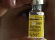 Febre Amarela: conheça sintomas, transmissão e como funciona a vacina fracionada