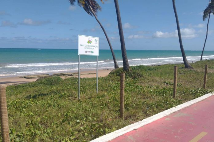 Salsa Viva: projeto de revitalização já cercou 230 mil m² de áreas costeiras
