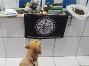 Drogas foram apreendidas com ajuda de um cão farejador.