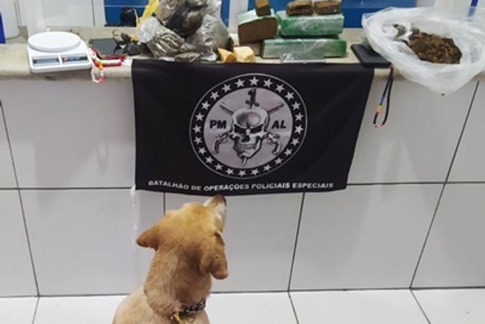Drogas foram apreendidas com ajuda de um cão farejador.