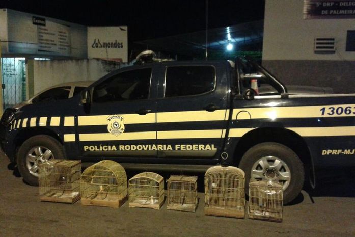 PRF realiza abordagens, prende cinco e faz apreensões durante o final de semana