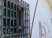 Janelas foram serradas e dois presos fugiram