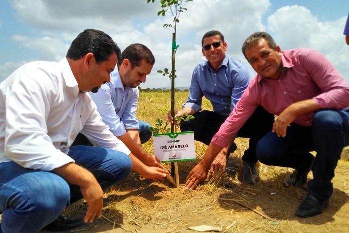 Limoeiro de Anadia ganhará maior complexo de pesquisa agroflorestal sintrópica da região